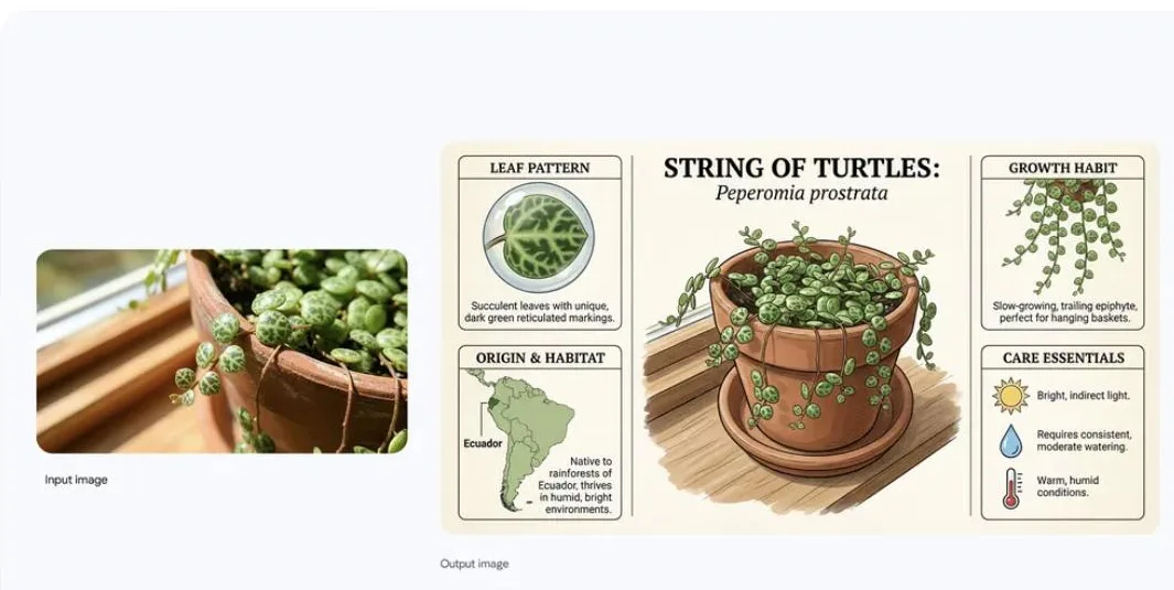 Input and output example from Google's official Nano Banana Pro announcement showing accurate text rendering
